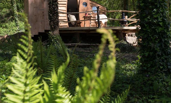 Cosy Cabin in woods